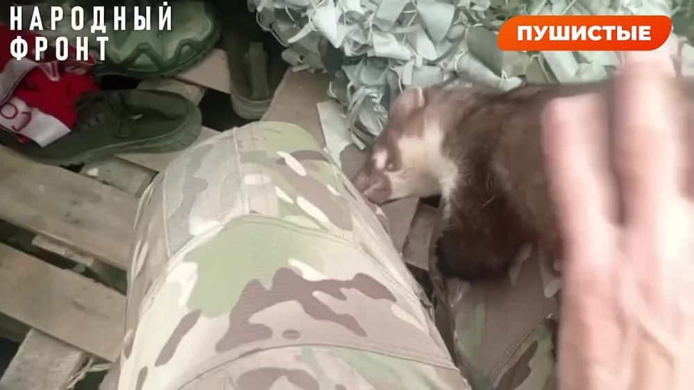 ������������� ����� �������� ������ � ���� ���