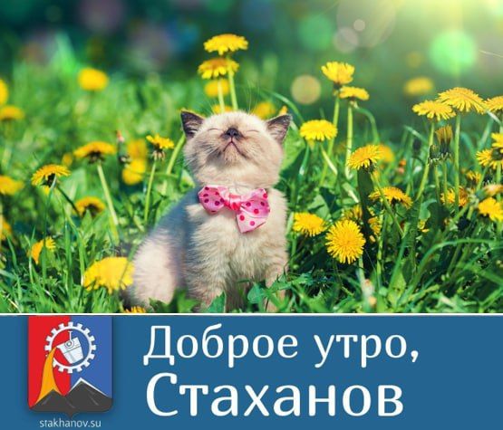 ���� ������� �����! �������, ��� ���������� ������ ������ ������!