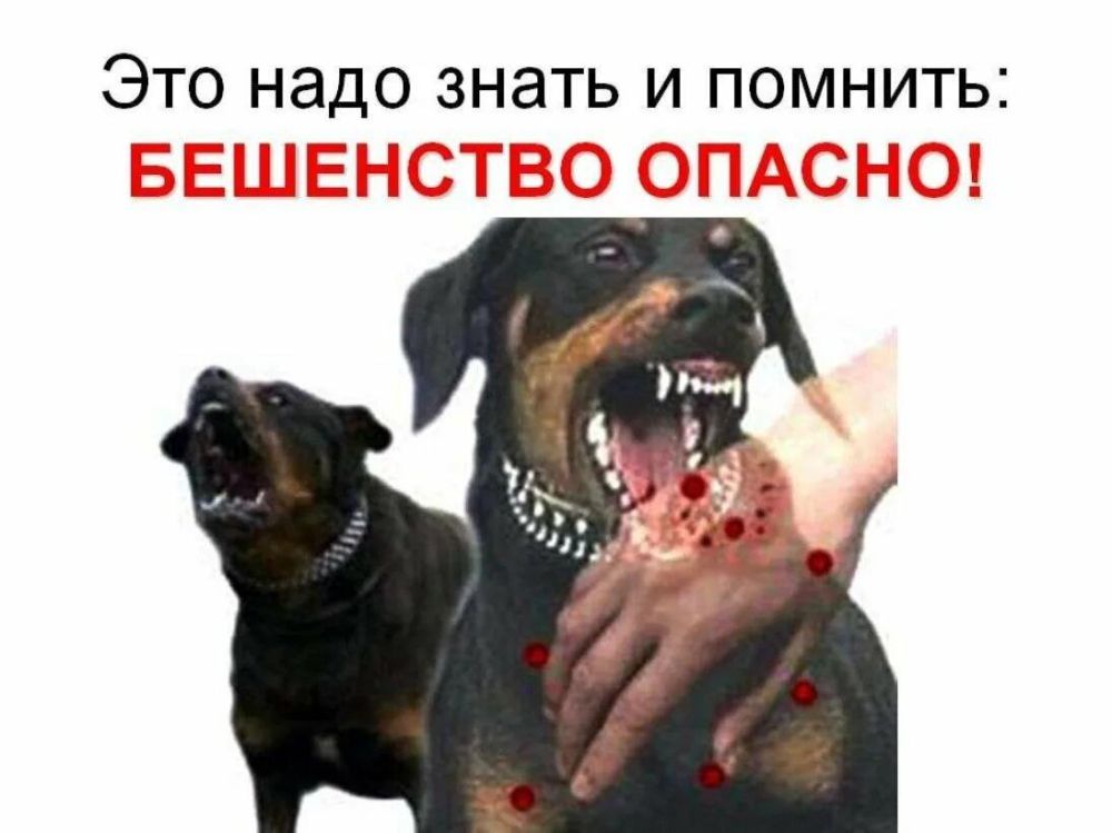 ��������������� ���������� � �����������, ������� ������������� ��������� �������