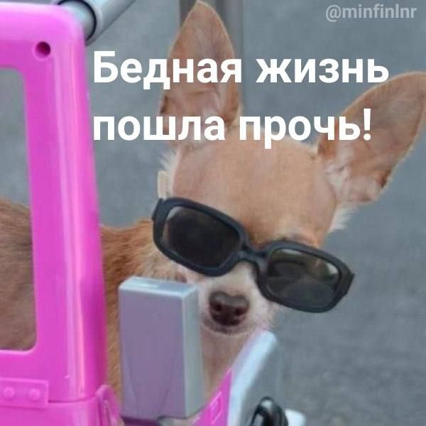 ��� ������ �������� ���������� ��������?