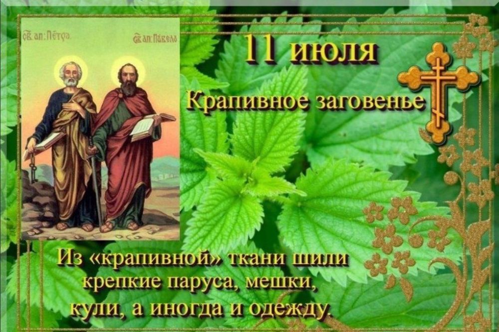 �� ��������� ��������� 11 ���� ���������� ��������� ���������