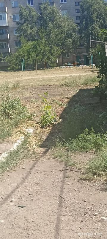 12.07.2024 ����������� �������������� ���������� ����������� ����������������� ������ ��������: