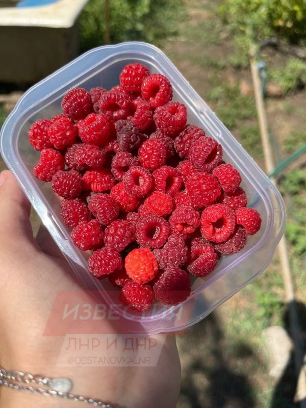 13 ���� �� ���������� ��������� ���������� ����������