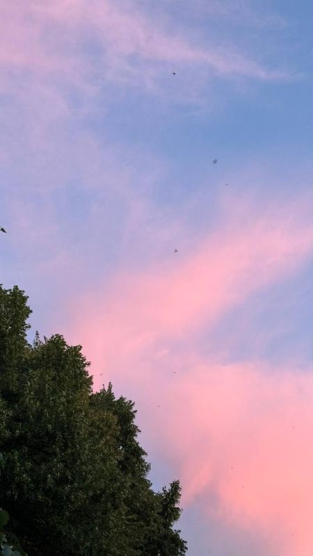 ��������� ������������ 13 ���� � ��� �� ���� 14 �������� ����� �� 36 �������� ���� ���� � �����-������ �������� ���������� ��� �� ����������