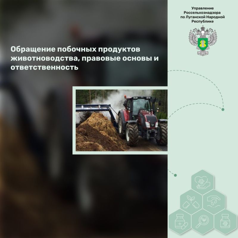 ��������� �������� ��������� ��������������, �������� ������ � ���������������