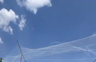 �� ����� �� �������� ��������� ����������� ��������� ������������ �����