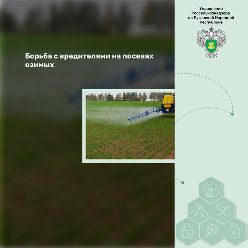 ������ � ����������� �� ������� ������