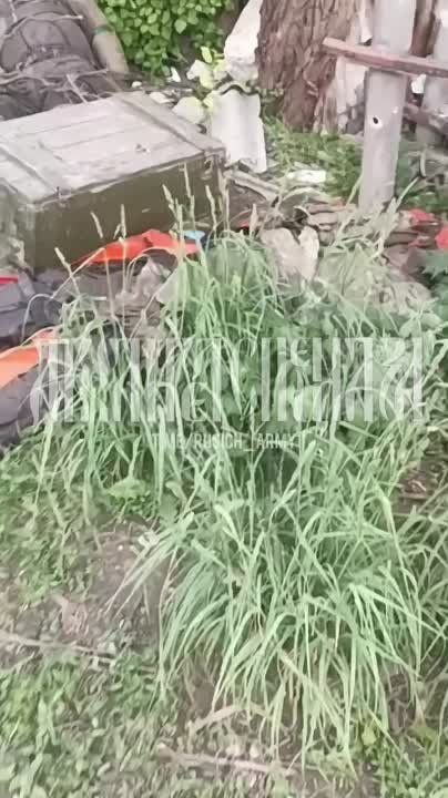 ��� ������ �������� ��������� �� �� �������, ��� ��� ����� ��� ������ ��� ������� ������������� ������ � ���������� (������� ����� �� ������������, �� ����������� �������� ���������� ���������)