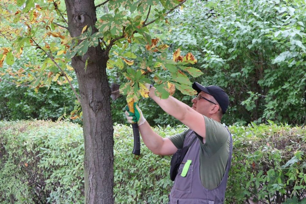 ��������� ������� ��������� ������������� ���������