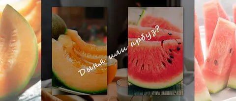 ����� ����� ������ � ��������, �� �������� ���� ������, ��� ������ ��� �������� ��� ������ � �����, ���������� �����������