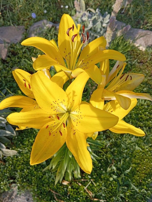 � ������ �����, ������ ����������� �������������� ������!