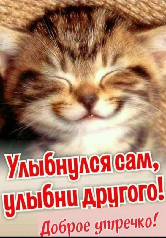 � ������ �����, ������ �������������� ������!