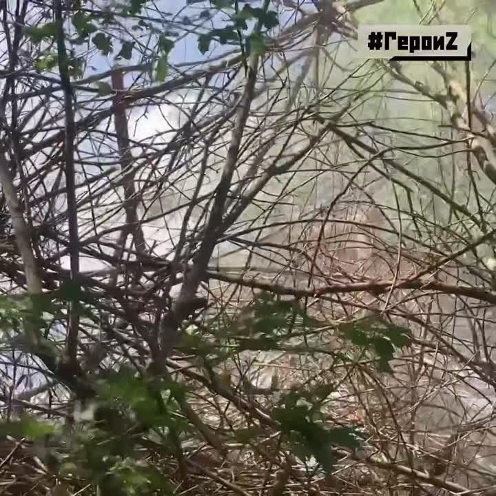 �������� ������ � �������� ������������ ������������ � ���� � � ����� ������ ������