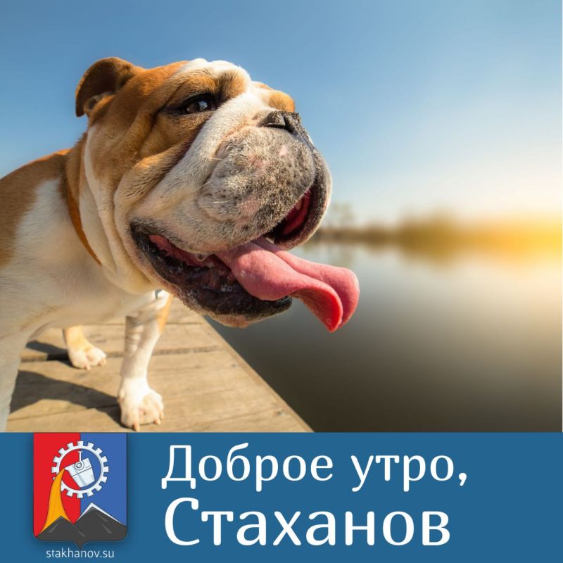 ��� ���������� ��������� ������������� ����