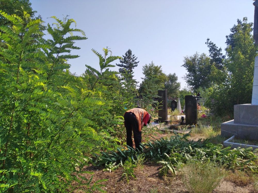 �������� �������������������������� ������, �������� � ��� � ������������� ����������, ������� ����������� ��������������� �� ���������� ������ ����