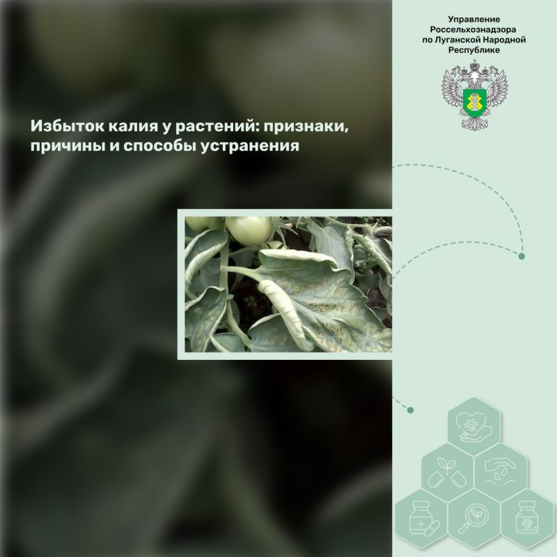 ������� ����� � ��������: ��������, ������� � ������� ����������