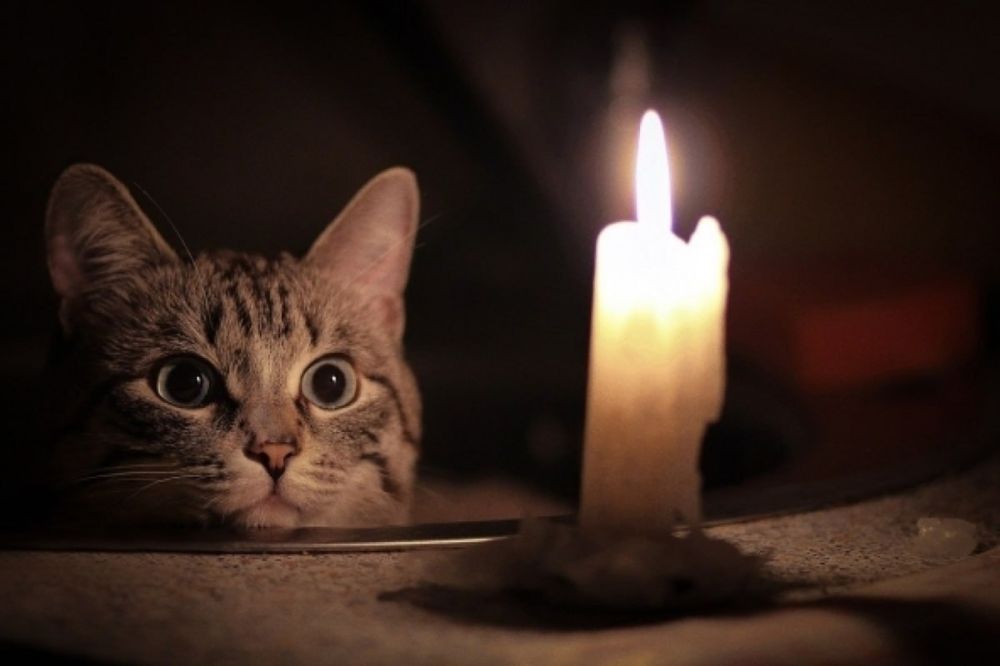 ������������ ��� �����������