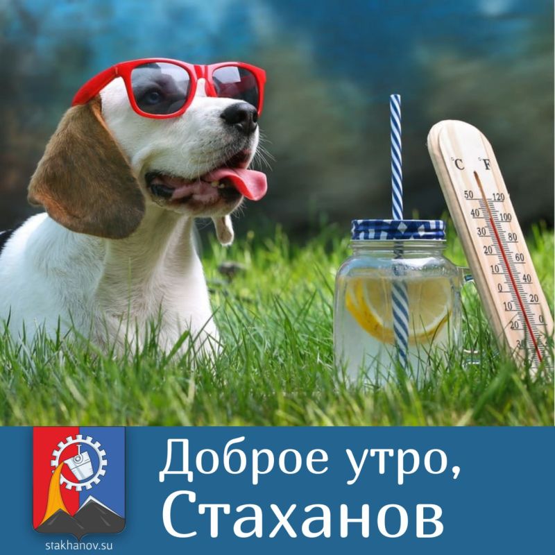 ������ � ������������ �������������� ������� �� ������ ����������� ���������