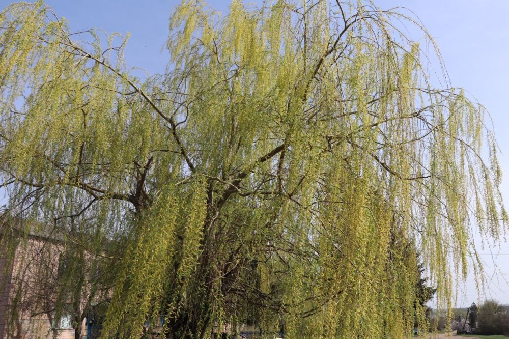 � ������ �����, ������ ����������� �������������� ������!