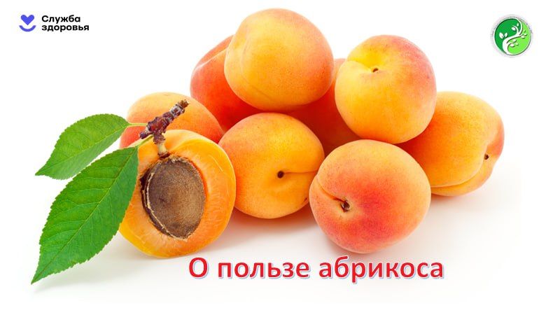 ����� ��������� � ����� �������
