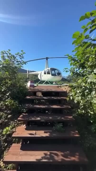 ������ ����, ������� ������!