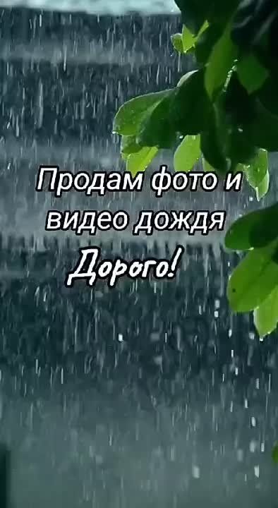 ������ �������: ��������� ��� ������� ��������, � �� ������