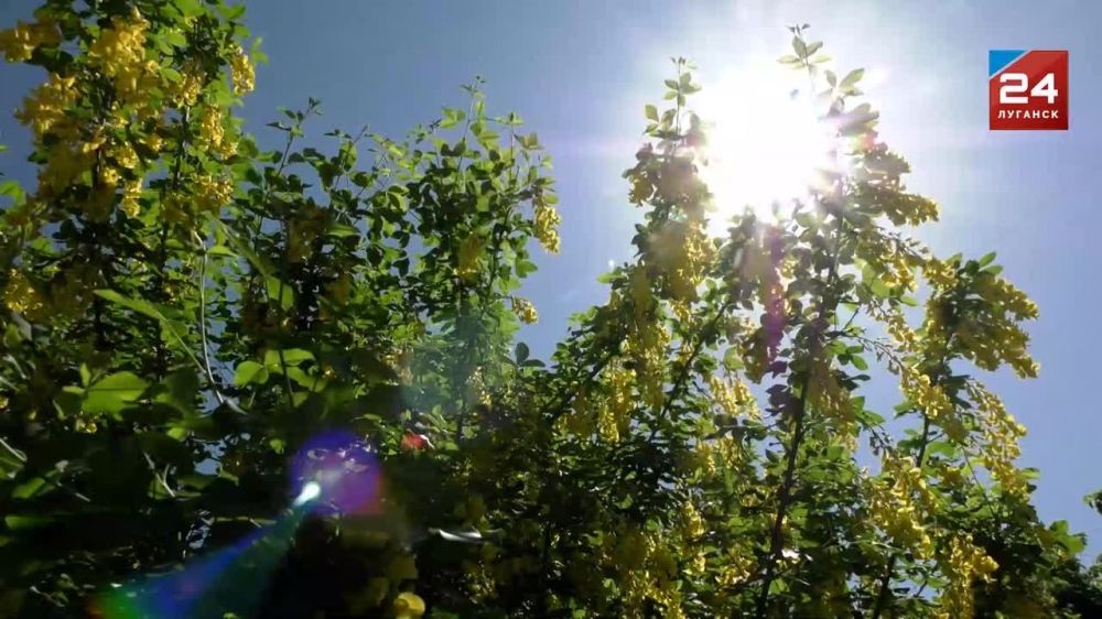 ����� ����. ����. �����. � ��������� ���������� ������� ������������. �� ���� � ��� ��� � ������ ����������������� �����. �� ���� ����������