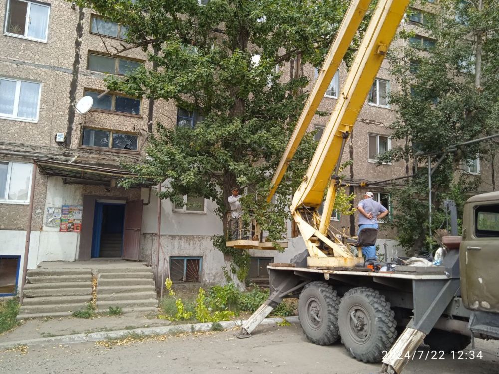 22.07.2024 ����������� �������������� ���������� ����������� ����������������� ������ �������� �������� ��������������...