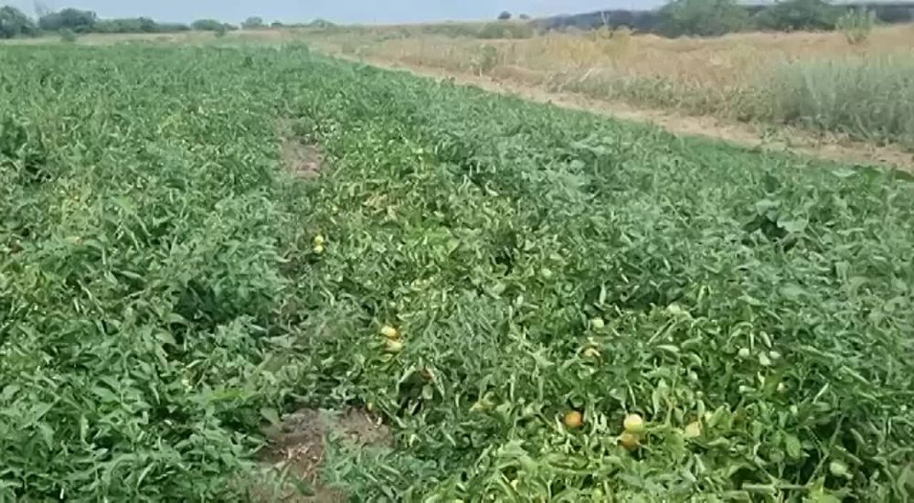 ������� ���� ���������� ������ ����������� ���� ����� � ���� � ���������