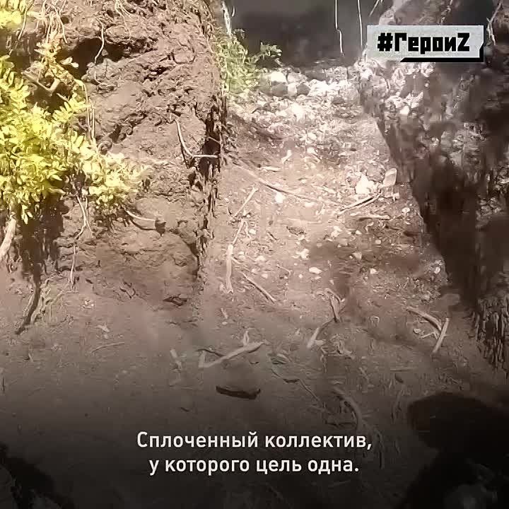 �������� ���������� ������ � �������� ����� �������� ������ �������: ������ ������ ���������, ������ ���������. � ������� ���� ���� ����� � ������. ���������� �� ������ ���� ������������ � ��������� �� ���������, ��� ���������� �����: ���������� ������
