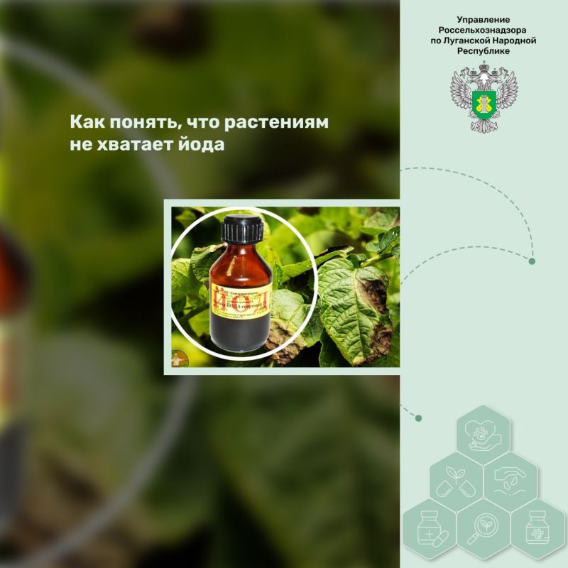 ��� ������, ��� ��������� �� ������� ����