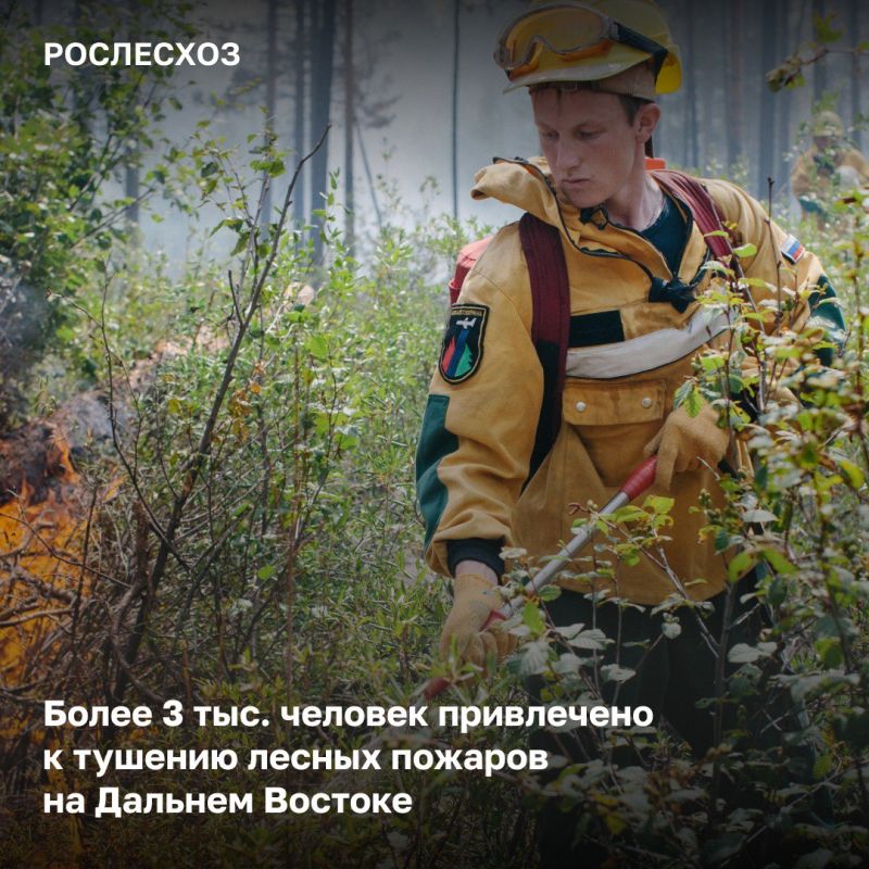 980 ������������-�������� ���������� �������������� � 11 ������������ ������� �������� ������ � ���������� � ���������� ����