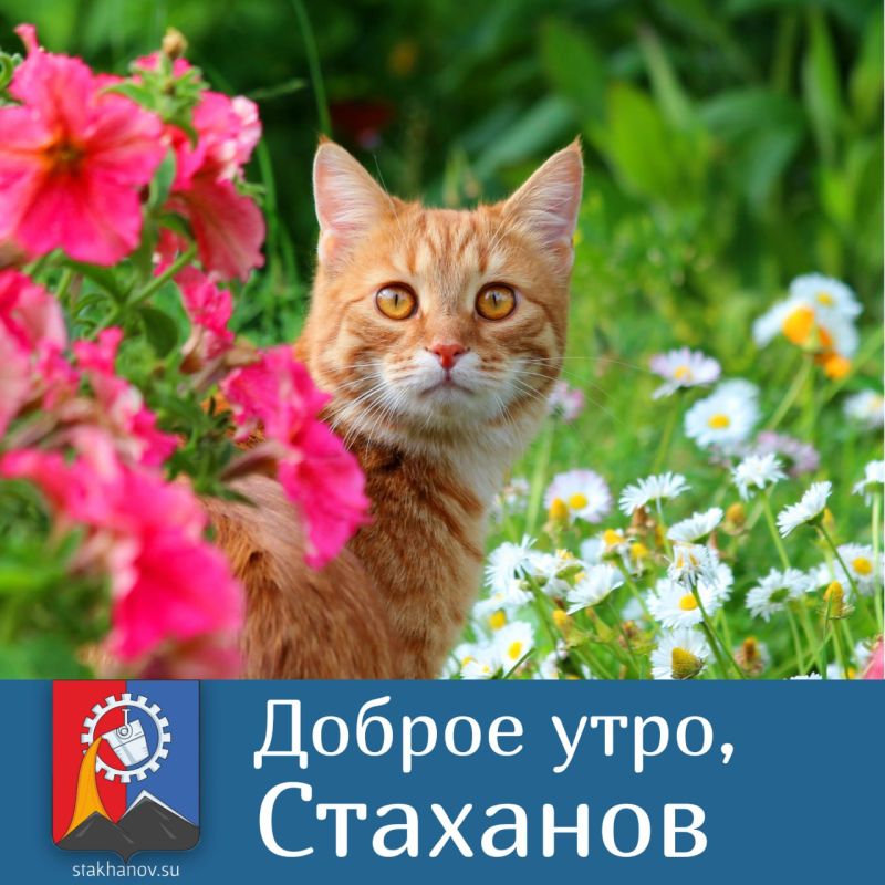 � ������ ������ ����� �������, ������� ��������