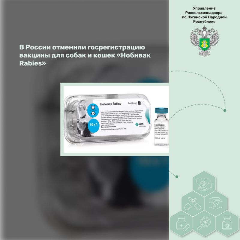 � ������ �������� �������������� ������� ��� ����� � ����� �������� Rabies�