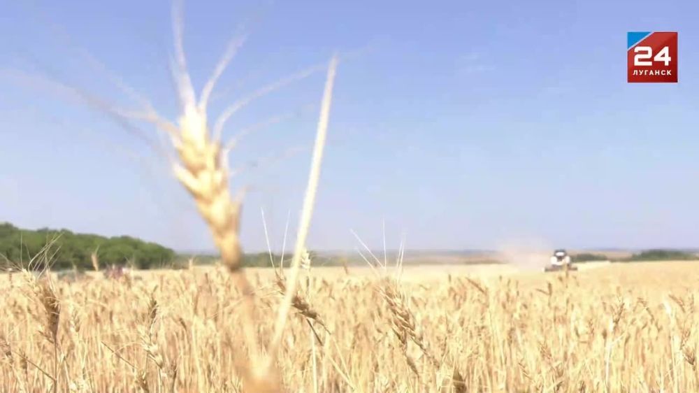 ����� ���� � ����� ������. � � �������� ������, � � ��������������������. ��������� ������ �� ����� ����������