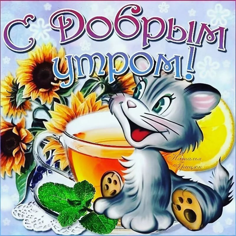 � ������ �����, ������ �������������� ������!