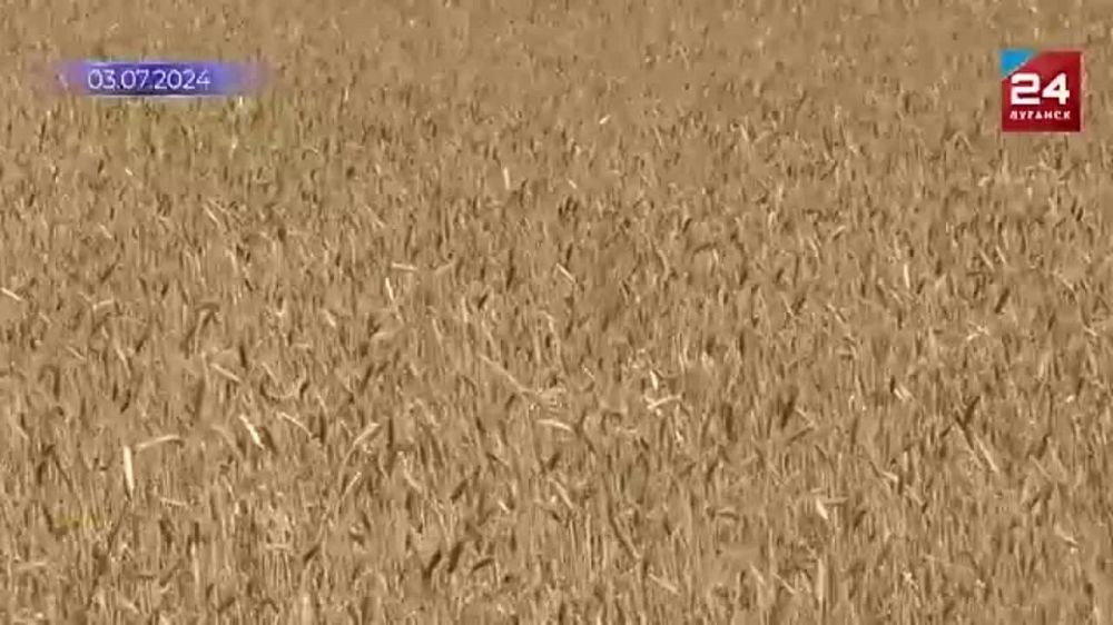 ������� ���������� ������ ������ ������� �� 183 ����� ��������, ������ ������ � � 1300 ��������