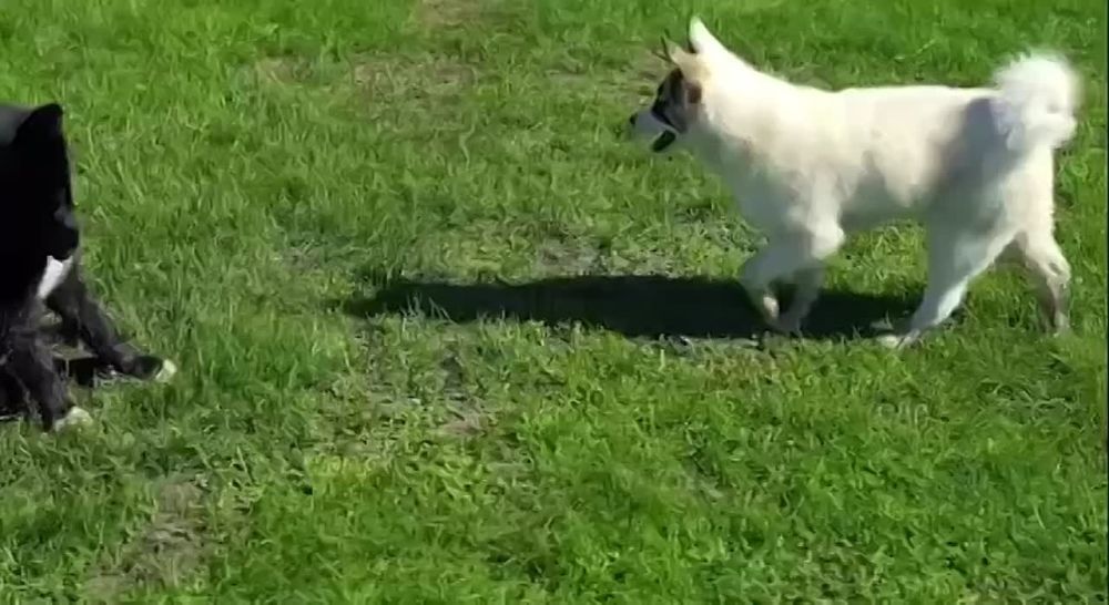 ������� ����������� ������� �� �����