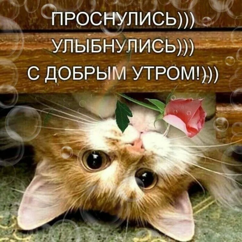 � ������ �����, ������ �������������� ������!