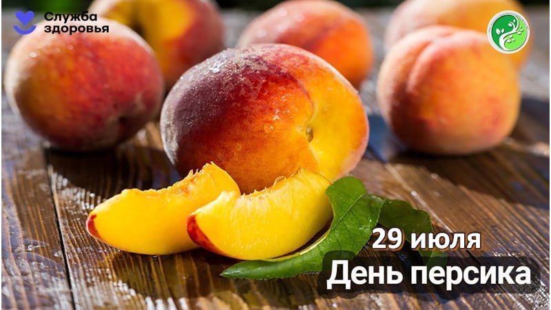 29 ���� ���������� ���� �������, ��������, ������� �������� ����� ������� � ���������� ������