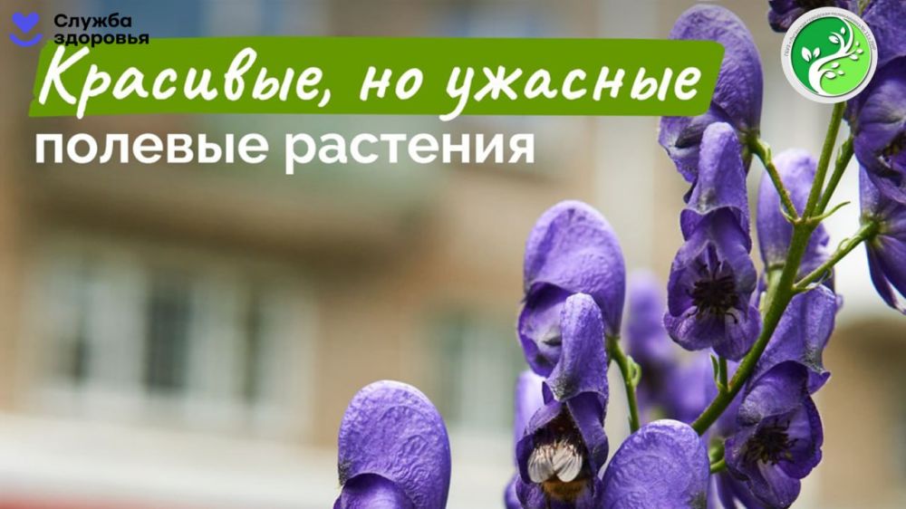 �� �����-������ ������ ���������� ����? ���, �� ����������, � �������� �����������, �� ��������� ��������
