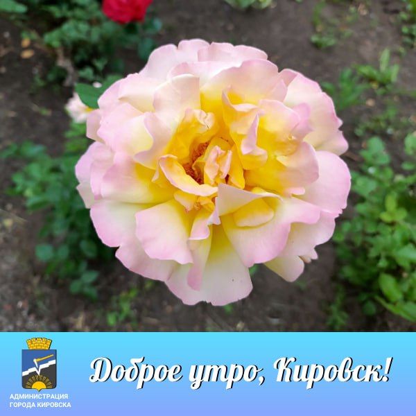 � ������ �����, �������!