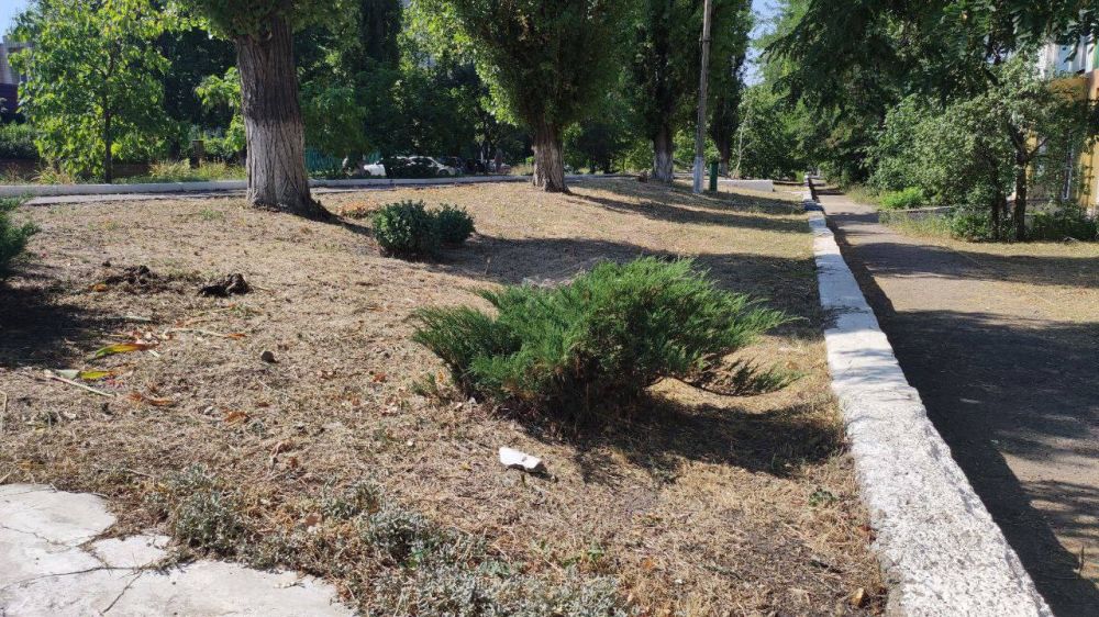 �������� ��������: ������������ ������ ���������� ������ �� ������ �������