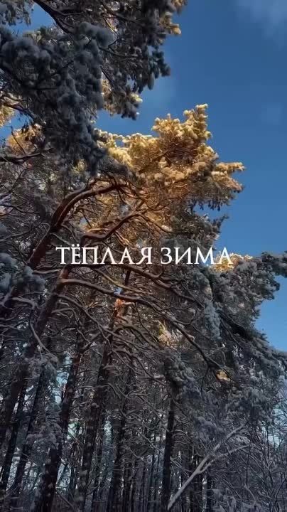 ��������� ����� ���� � ���������� ������������