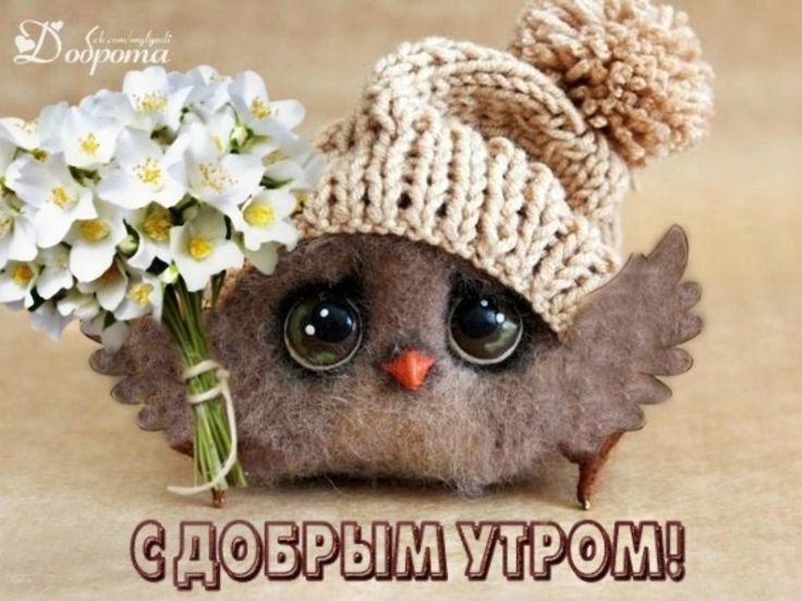 � ������ �����, ������ �������������� ������!