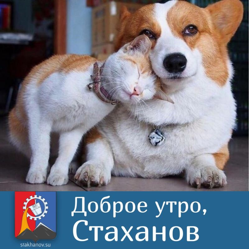 ��� �� ����, �� ��������!