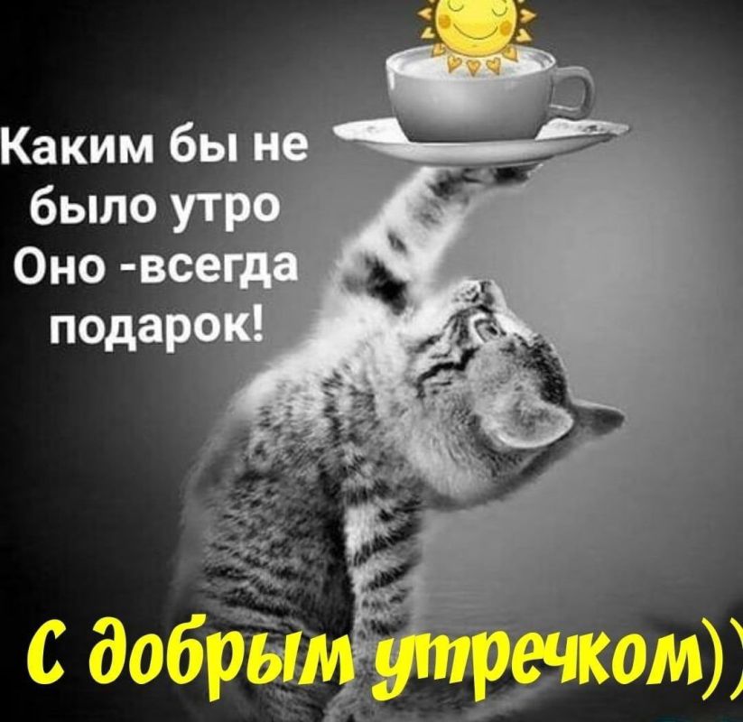 � ������ �����, ������ �������������� ������!