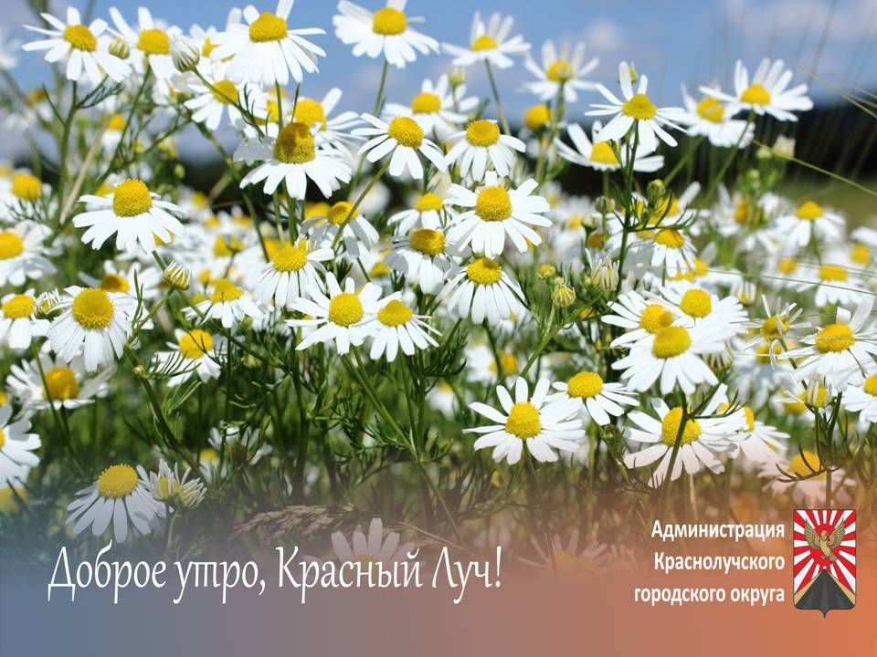 ������ ����, ������������ � ����� ������!