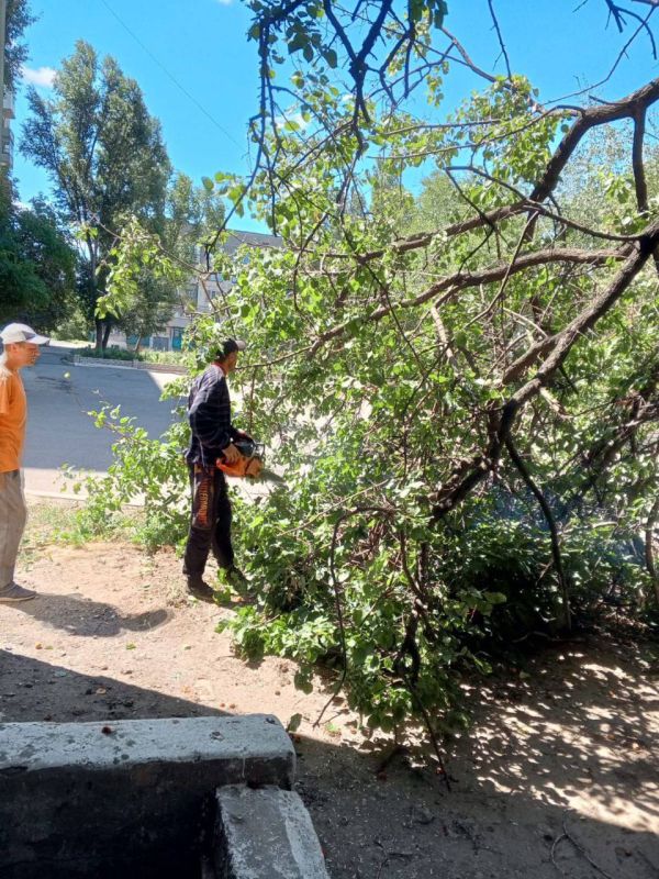 �������� ��������: ������������ ������ ���������� ������ �� ������ �������