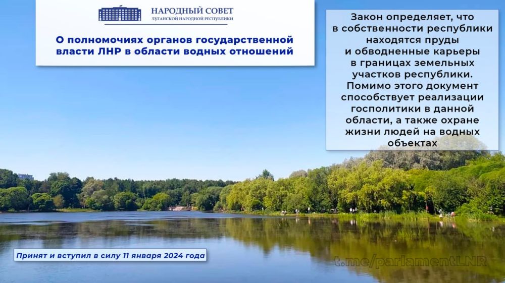 �� I ��������� 2024 ���� �������� ������� ���� ������� 40 ������������ �������